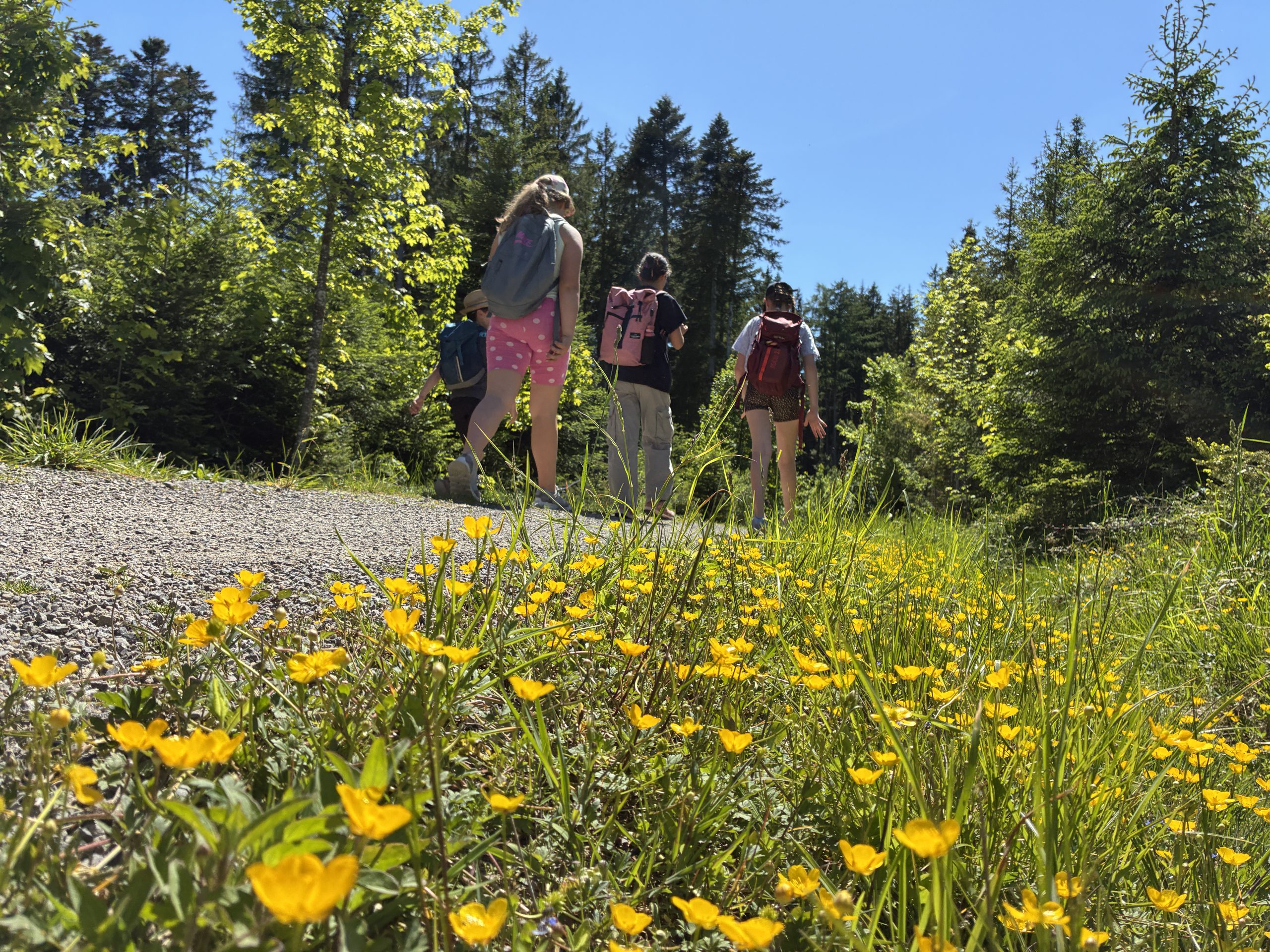 Hüttenwochenende 2025